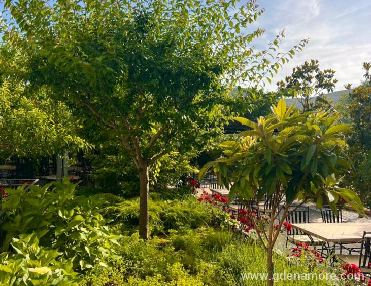 WhatsApp slika 2024-12-24 u 16.59.32_69b918c7